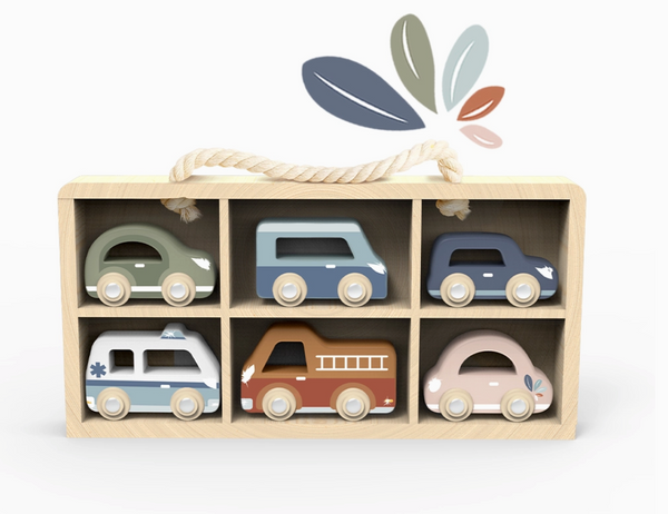 Car Display Case With 6 Cars